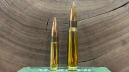 300 Blackout vs 308 Winchester