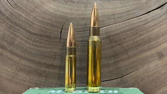 300 Blackout vs 308 Winchester